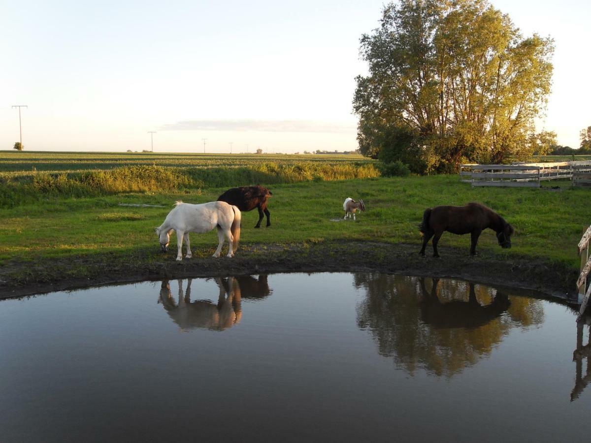 Horse Lake Ranch Neuendorf  Zewnętrze zdjęcie